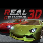 Real Driving 3D
